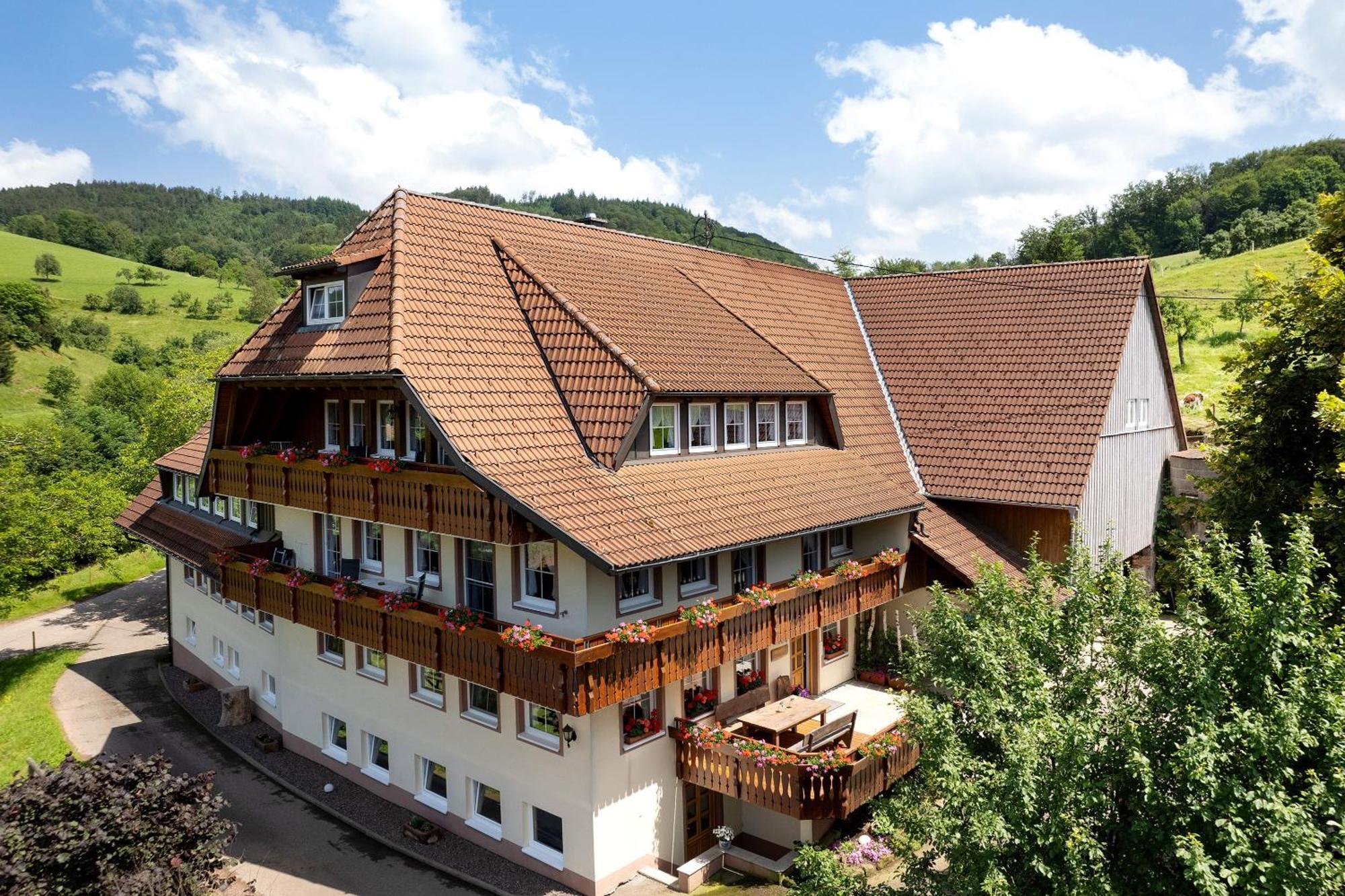 Danielenhof Apartment Freiamt Bagian luar foto
