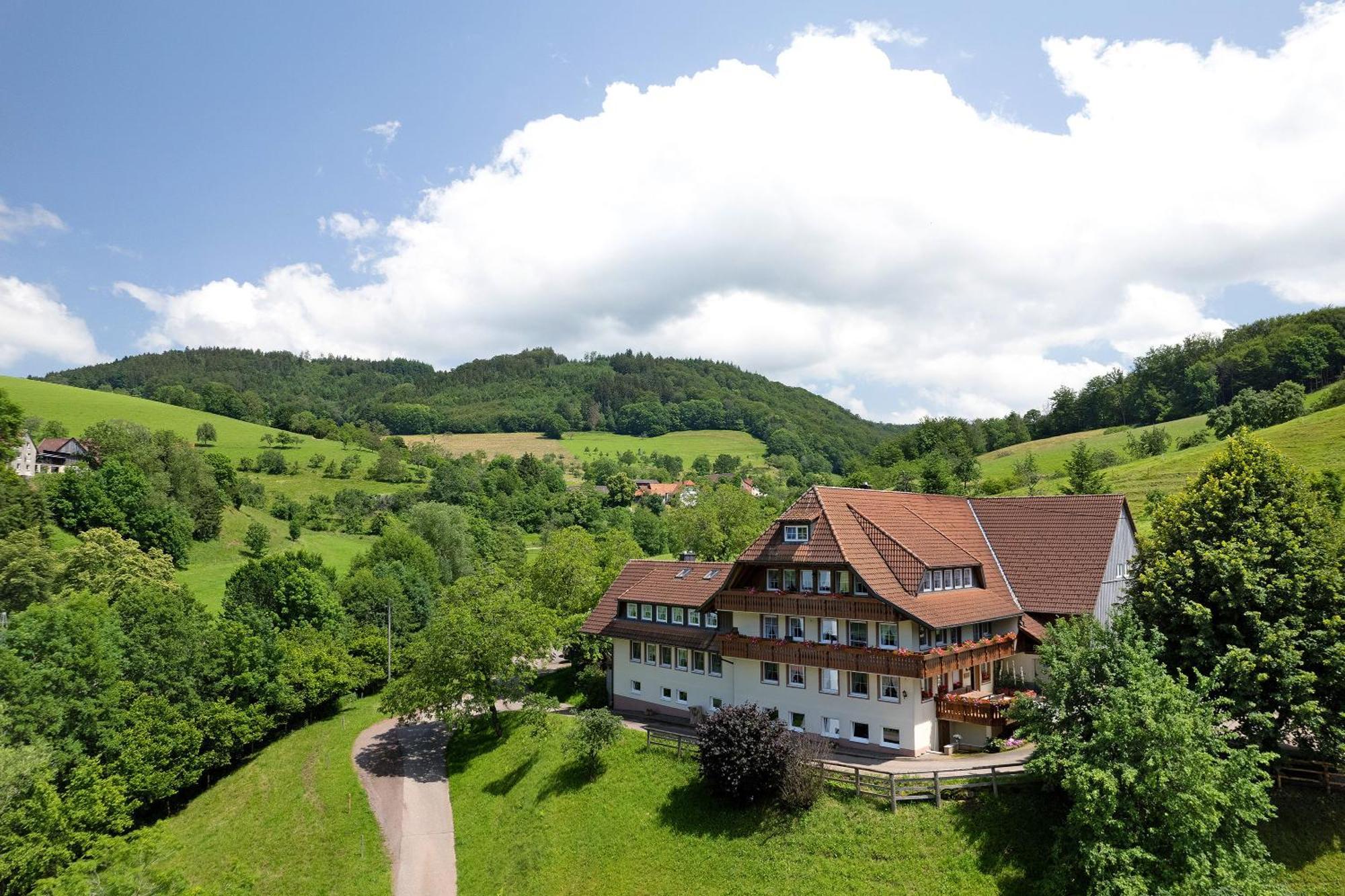 Danielenhof Apartment Freiamt Bagian luar foto