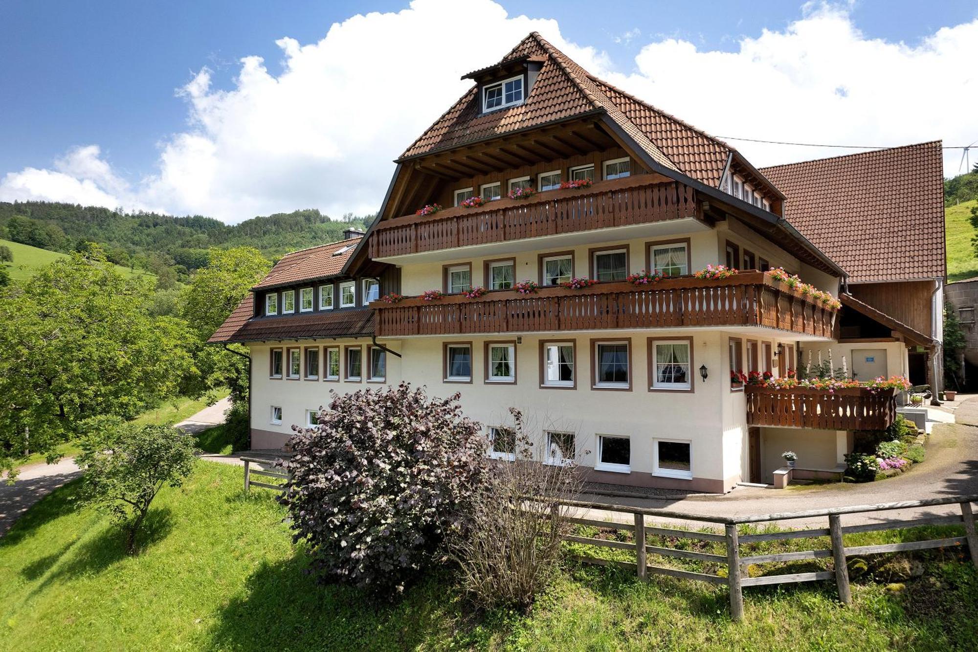 Danielenhof Apartment Freiamt Bagian luar foto